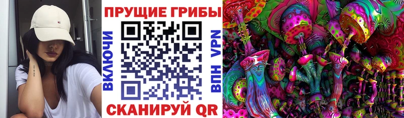 Псилоцибиновые грибы MAGIC MUSHROOMS Козловка